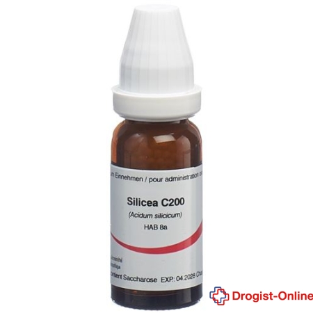 Omida Silicea Glob C 200 2 g