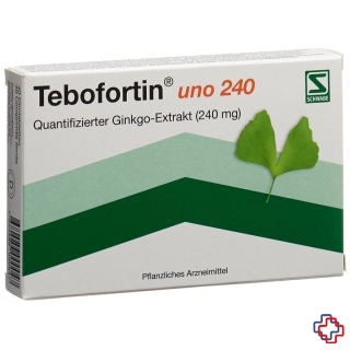 Tebofortin uno 240 Filmtabl 240 mg 40 Stk