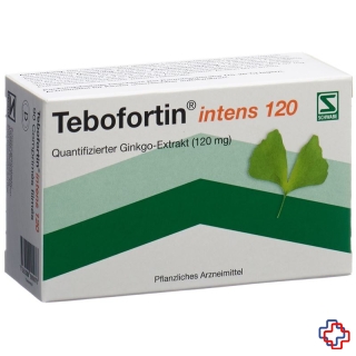 Tebofortin intens 120 Filmtabl 120 mg 90 Stk
