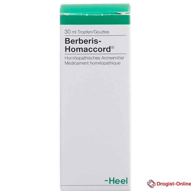 Homaccord Berberis Tropfen Fl 30 ml